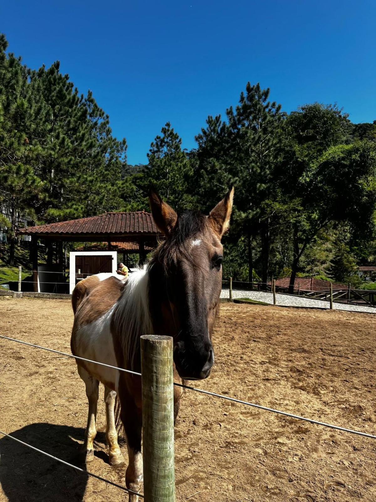 Fazenda Suica Le Canton Teresópolis Eksteriør billede